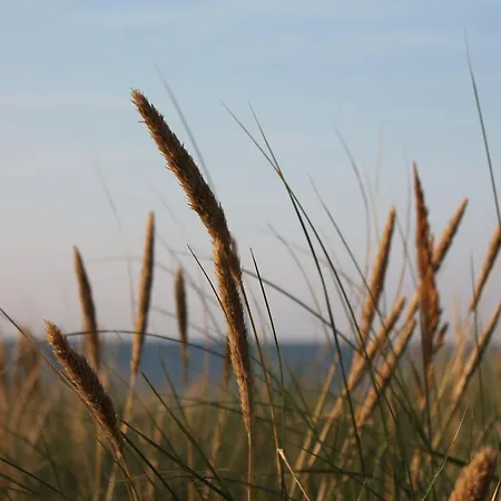 In Nahe Ostseestrand Daire *