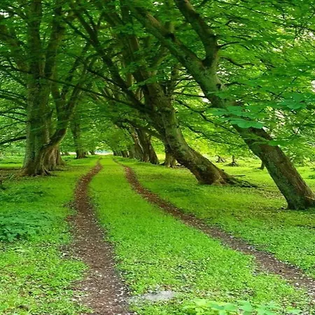 In Nahe Ostseestrand * Zingst