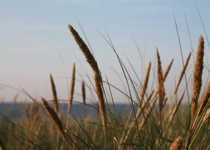 In Nahe Ostseestrand Apartment *