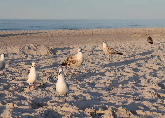 In Nahe Ostseestrand *