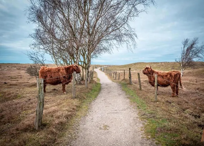 Apartment In Nahe Ostseestrand