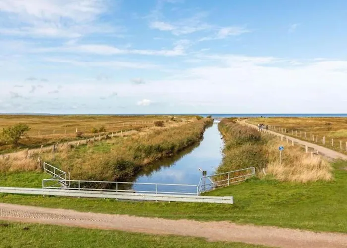 In Nahe Ostseestrand